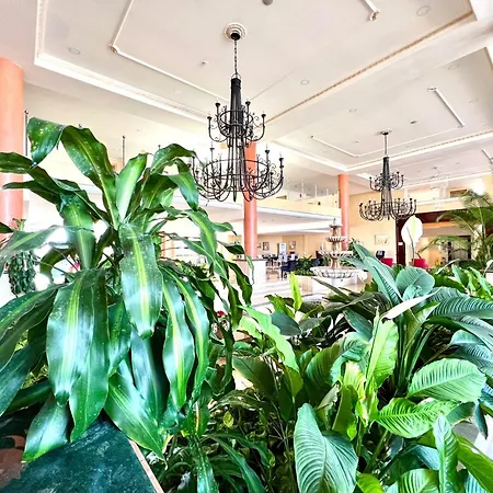 Junior Suite, With Heated Pool, Wifi, Close To Beach Apartment *
